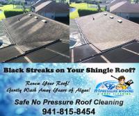 A-1 Pressure Washing & Roof Cleaning image 15