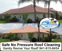 A-1 Pressure Washing & Roof Cleaning image 18