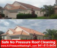 A-1 Pressure Washing & Roof Cleaning image 20