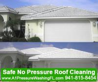 A-1 Pressure Washing & Roof Cleaning image 22
