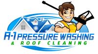 A-1 Pressure Washing & Roof Cleaning image 28