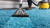 Tampa Carpet Cleaning FL image 5