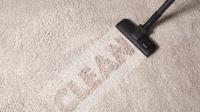 Tampa Carpet Cleaning FL image 4