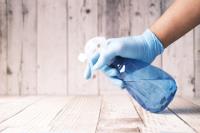 Lancaster Mold Removal Solutions image 1