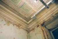 Lancaster Mold Removal Solutions image 3