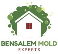 Mold Remediation Bensalem Experts image 5