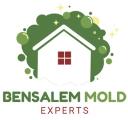 Mold Remediation Bensalem Experts logo