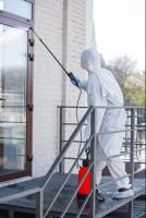 Mold Remediation Reading Solutions image 1