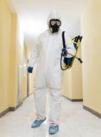 Mold Remediation Reading Solutions image 2