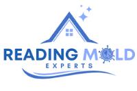 Mold Remediation Reading Solutions image 3