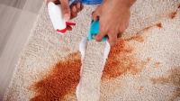 Bergenfield Carpet Cleaning image 1