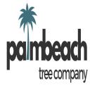Palm Beach Tree Company logo