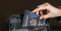 Passports and visas - Passport Renewal Office  image 6