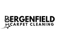 Bergenfield Carpet Cleaning image 4