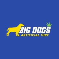 Big Dogs Artificial Turf image 1