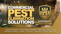 Systematic Pest Elimination image 4