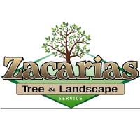 Zacarias Tree & Landscaping image 1