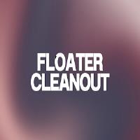 Floater Cleanout image 1