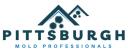 Pittsburgh Mold Removal Solutions logo