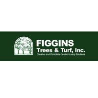 Figgins Trees & Turf, Inc. image 1