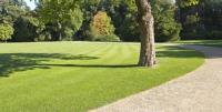 Figgins Trees & Turf, Inc. image 3