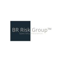 BR Risk Group Specialty Insurance image 2