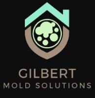 Mold Removal Gilbert Results image 1