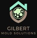Mold Removal Gilbert Results logo