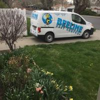 Beeline Pest Control image 2