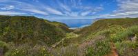 Catalina Island Conservancy image 3