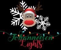 Johannessen Lights - Orlando Holiday Lights image 6