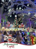 Johannessen Lights - Orlando Holiday Lights image 11
