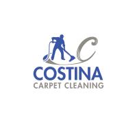 costina carpet cleaning  image 1