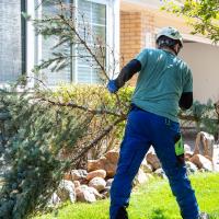 Cutting Edge Tree Services image 5