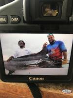 Big Marlin Charters Punta Cana image 14