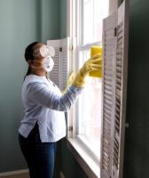 Mold Remediation York PA Solutions image 2