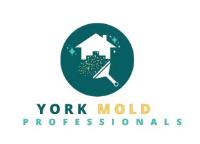 Mold Remediation York PA Solutions image 3