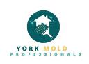 Mold Remediation York PA Solutions logo