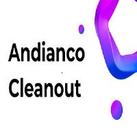 Andianco Cleanout image 1