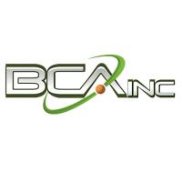 BCA IT, Inc. image 1