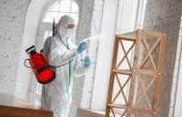 Mold Removal Lexington Solutions image 5
