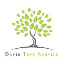 United Tree Care LLC logo