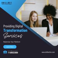 SkillNet Solutions Inc image 5