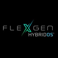 FlexGen image 2