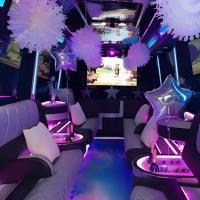 Party Bus 909 image 1