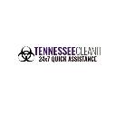 TennesseeCleanIT logo
