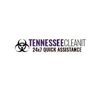 TennesseeCleanIT image 1