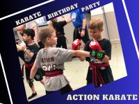 Action Karate West Chester image 4