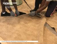 Sunbird Carpet Cleaning Bel Air South image 5