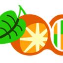 Orange Computers Inc., a DNA Servers Inc. Company logo